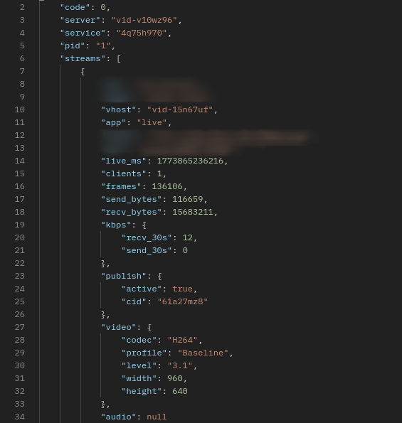 SRS API stream metadata showing active victim streams